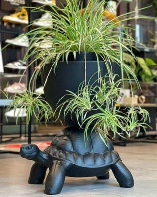 Qeeboo Turtle Carry Planter And Champagne Cooler vase/champagne cooler - Buy now on ShopDecor - Discover the best products by QEEBOO design