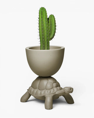 Qeeboo Turtle Carry Planter And Champagne Cooler vase/champagne cooler Qeeboo Dove grey - Buy now on ShopDecor - Discover the best products by QEEBOO design
