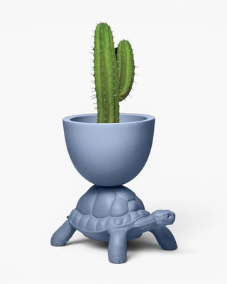 Qeeboo Turtle Carry Planter And Champagne Cooler vase/champagne cooler Qeeboo Avio Blue - Buy now on ShopDecor - Discover the best products by QEEBOO design