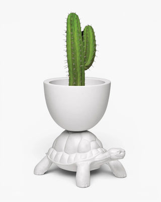 Qeeboo Turtle Carry Planter And Champagne Cooler vase/champagne cooler Qeeboo White - Buy now on ShopDecor - Discover the best products by QEEBOO design