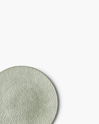 Raynaud Minéral fully engraved coupe dinner plate in Limoges porcelain with coloured decoration