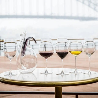 Riedel Ayam Decanter - Buy now on ShopDecor - Discover the best products by RIEDEL design