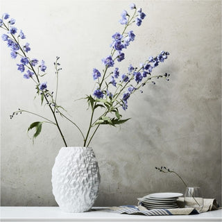 Rosenthal Phi decorative vase city h 28 cm - porcelain - Buy now on ShopDecor - Discover the best products by ROSENTHAL design