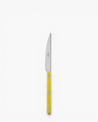 Sabre Paris Bistrot Shiny stainless steel dessert knife with nylon handle