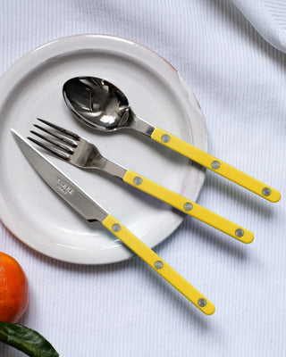 Sabre Paris Bistrot Shiny stainless steel dessert knife with nylon handle