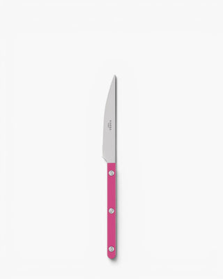 Sabre Paris Bistrot Shiny stainless steel dessert knife with nylon handle