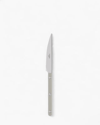 Sabre Paris Bistrot Shiny stainless steel dessert knife with nylon handle
