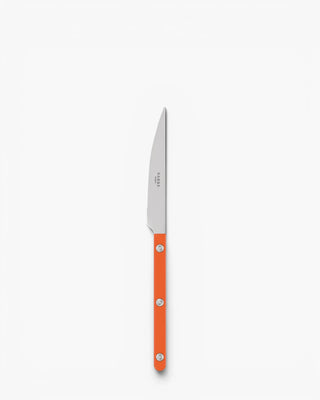 Sabre Paris Bistrot Shiny stainless steel dessert knife with nylon handle