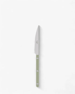 Sabre Paris Bistrot Shiny stainless steel dessert knife with nylon handle