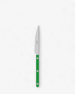 Sabre Paris Bistrot Shiny stainless steel dessert knife with nylon handle