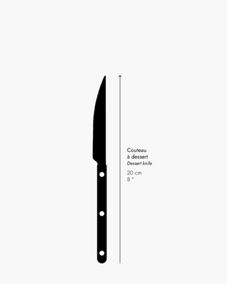 Sabre Paris Bistrot Shiny stainless steel dessert knife with nylon handle