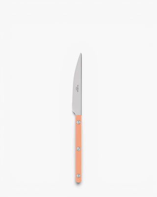 Sabre Paris Bistrot Shiny stainless steel dessert knife with nylon handle