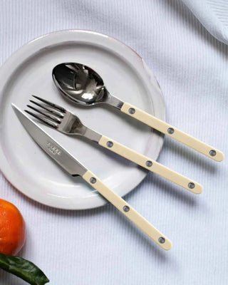 Sabre Paris Bistrot Shiny stainless steel dessert spoon with nylon handle - Buy now on ShopDecor - Discover the best products by SABRE PARIS design