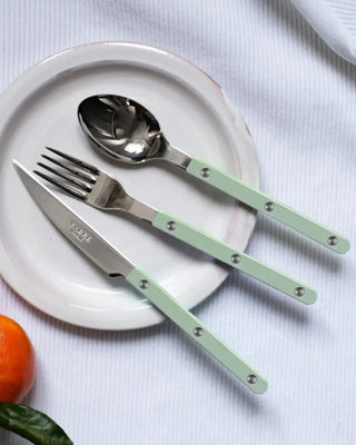 Sabre Paris Bistrot Shiny stainless steel dessert spoon with nylon handle - Buy now on ShopDecor - Discover the best products by SABRE PARIS design