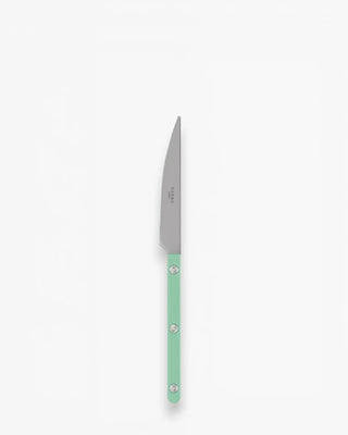 Sabre Paris Bistrot Vintage stainless steel dessert knife with nylon handle Sabre Paris Pastel Green - Buy now on ShopDecor - Discover the best products by SABRE PARIS design