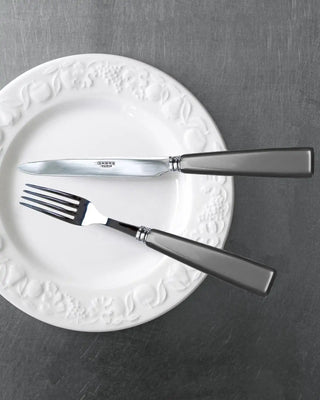 Sabre Paris Icône 24-piece stainless steel cutlery set with acrylic handles - Buy now on ShopDecor - Discover the best products by SABRE PARIS design