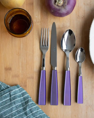 Sabre Paris Icône 24-piece stainless steel cutlery set with acrylic handles - Buy now on ShopDecor - Discover the best products by SABRE PARIS design