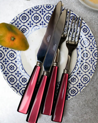 Sabre Paris Icône 5-piece stainless steel cutlery set with acrylic handles - Buy now on ShopDecor - Discover the best products by SABRE PARIS design