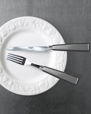 Sabre Paris Icône 5-piece stainless steel cutlery set with acrylic handles - Buy now on ShopDecor - Discover the best products by SABRE PARIS design