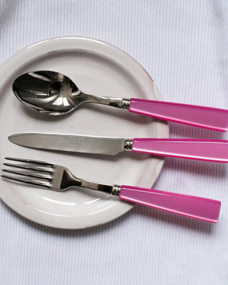 Sabre Paris Icône stainless steel dessert knife with acrylic handle - Buy now on ShopDecor - Discover the best products by SABRE PARIS design