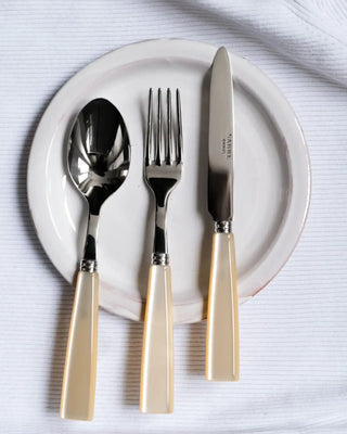 Sabre Paris Icône stainless steel dessert spoon with acrylic handle - Buy now on ShopDecor - Discover the best products by SABRE PARIS design