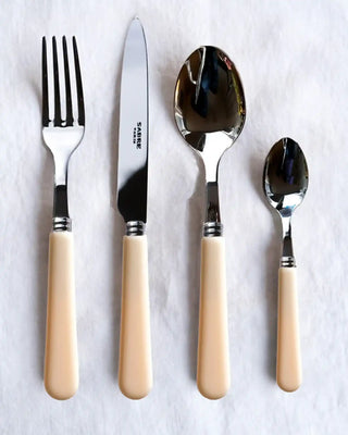 Sabre Paris Pop 5-piece stainless steel cutlery set with acrylic handles - Buy now on ShopDecor - Discover the best products by SABRE PARIS design