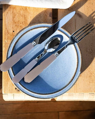 Sabre Paris Gustave 5-piece stainless steel cutlery set with acrylic handles - Buy now on ShopDecor - Discover the best products by SABRE PARIS design