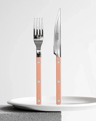 Sabre Paris Bistrot Shiny 5-piece stainless steel cutlery set with nylon handles
