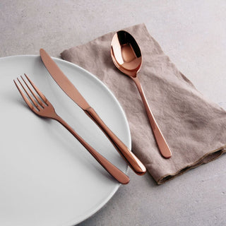 Sambonet Taste 36-piece cutlery set - Buy now on ShopDecor - Discover the best products by SAMBONET design