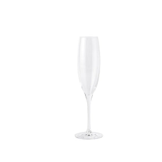 Schönhuber Franchi Basic Flùte glass cl. 17,5 - Buy now on ShopDecor - Discover the best products by SCHÖNHUBER FRANCHI design