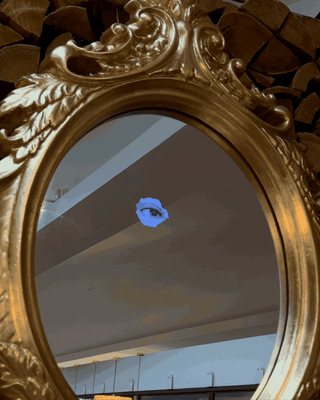 Seletti Reflecting Mirror - Buy now on ShopDecor - Discover the best products by SELETTI design