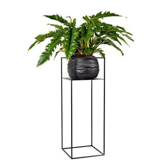 Serax Display plant rack black h. 90 cm. - Buy now on ShopDecor - Discover the best products by SERAX design