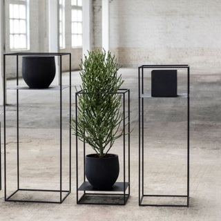 Serax Display plant rack black h. 38 cm. - Buy now on ShopDecor - Discover the best products by SERAX design