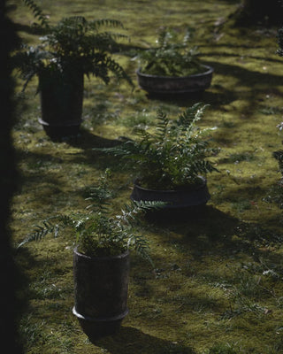 Serax Dune planter 02 - Buy now on ShopDecor - Discover the best products by SERAX design