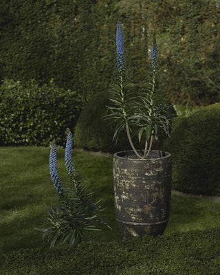 Serax Dune planter 02 - Buy now on ShopDecor - Discover the best products by SERAX design