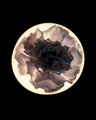 Serax Lara portable LED table lamp/vase - Buy now on ShopDecor - Discover the best products by SERAX design