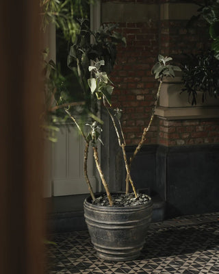 Serax Mesa Planter 01 - Buy now on ShopDecor - Discover the best products by SERAX design