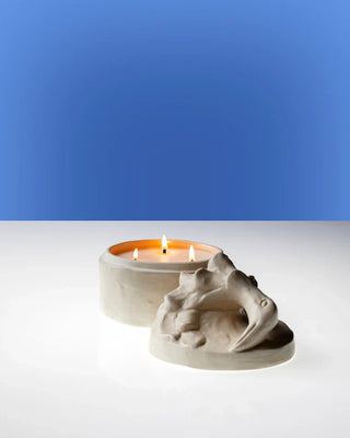 Serax Scented Candles by Bela Silva - Buy now on ShopDecor - Discover the best products by SERAX design