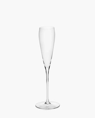 Serax Silhouette champagne flute - Buy now on ShopDecor - Discover the best products by SERAX design