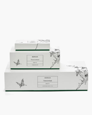 Serax Unity by Tomorrowland champagne coupe - Buy now on ShopDecor - Discover the best products by SERAX design