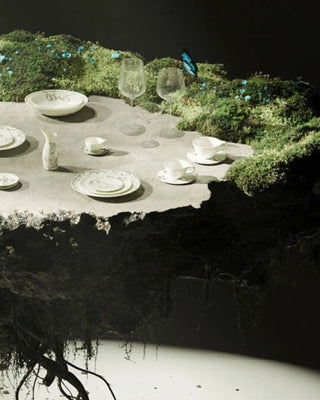 Serax Unity by Tomorrowland champagne coupe - Buy now on ShopDecor - Discover the best products by SERAX design