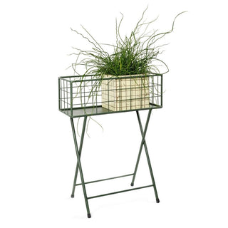 Serax Urban Jungle flowers grid - Buy now on ShopDecor - Discover the best products by SERAX design