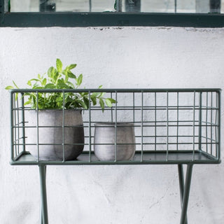 Serax Urban Jungle flowers grid - Buy now on ShopDecor - Discover the best products by SERAX design