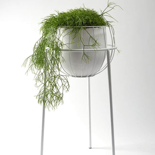 Serax Urban Jungle plant stand cage with pot white - Buy now on ShopDecor - Discover the best products by SERAX design