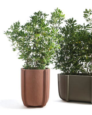 Serralunga Cassero vase - Buy now on ShopDecor - Discover the best products by SERRALUNGA design