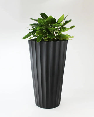 Serralunga Eufronio planter - Buy now on ShopDecor - Discover the best products by SERRALUNGA design