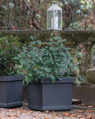 Serralunga Neoclassic planter - Buy now on ShopDecor - Discover the best products by SERRALUNGA design