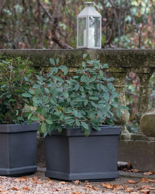 Serralunga Neoclassic planter - Buy now on ShopDecor - Discover the best products by SERRALUNGA design