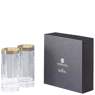 Versace meets Rosenthal Medusa Set of 2 longdrink glasses - Buy now on ShopDecor - Discover the best products by VERSACE HOME design