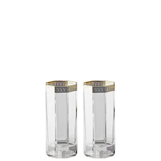 Versace meets Rosenthal Medusa Set of 2 longdrink glasses Gold - Buy now on ShopDecor - Discover the best products by VERSACE HOME design